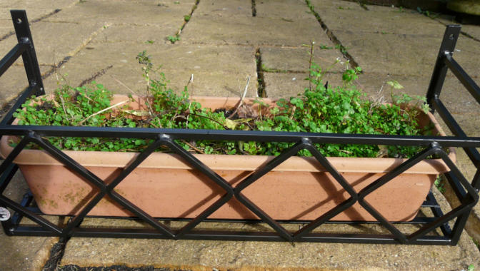 Wimborne wrought iron works window boxes
