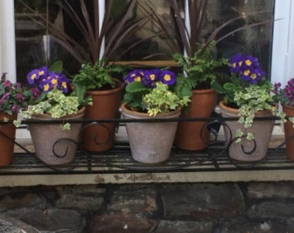 Window boxes wrought iron 